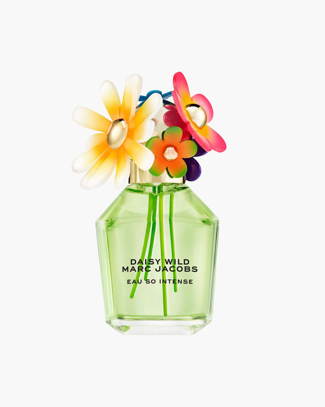 Marc Jacobs Best Price - Daisy Wild Intense Eau De Parfum 100 mL No Color